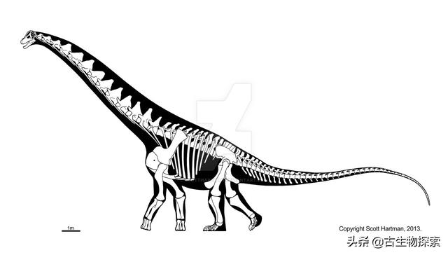 世界上有什么恐龙，世界上有几种恐龙（世界最大恐龙排行榜）