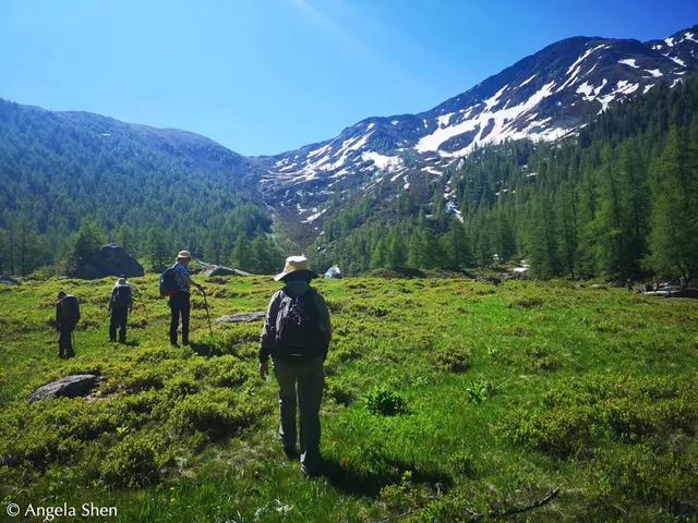 欧洲最高峰在哪个国家，欧洲最高峰指的是下列哪座山峰（你所不知道的百科二三事）