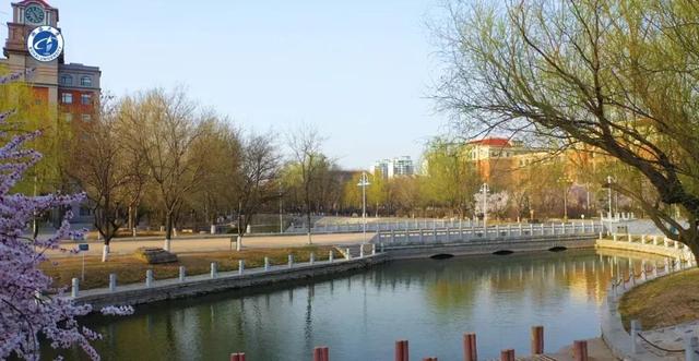 渤海大学是211吗，渤海大学是什么大学（辽宁省普通高等院校）