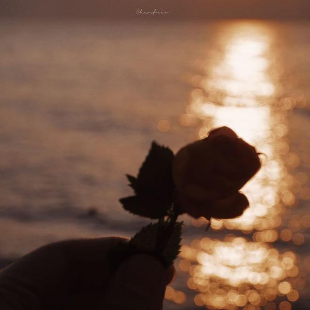 美好阳光且干净的女生头像  星空迷上了山野微信，美好阳光且干净的女生头像  星空迷上了山野，有雾有灯也有归人。（有哪些好看非人物的头像）