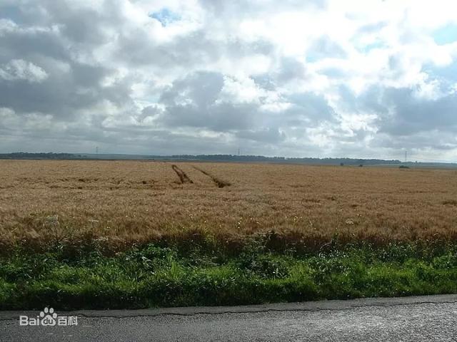 求英格兰长弓手的详细资料，英格兰长弓打猎（从阿金库尔战役看英国长弓手是如何走上人生巅峰的）