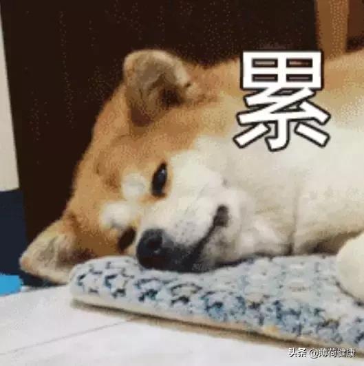 快速助眠方法，快速入睡黑科技：这8个小技巧