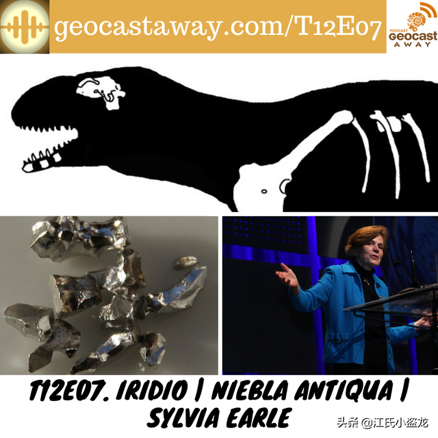 re网名的含义，Re微信昵称（2020古生物学家到底命名了多少种恐龙）