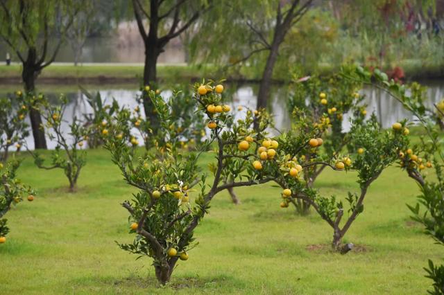横溪风景区在哪里,横溪景区有几个(为何龙山赏心谷值得一去再去) 横溪风景区在哪里,横溪景区有几个(为何龙山赏心谷值得一去再去)