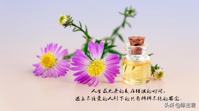 表达心累又无奈的说说，压抑憋屈的心情说说（伤感心累无奈的说说）