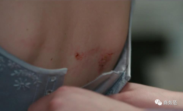 狗狗衣服大全纸样图片，狗狗衣服的手工DIY（7500件衣服、珠宝浮夸）