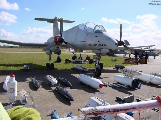 阿根廷为什么叫潘帕斯雄鹰，阿根廷帕米尔雄鹰（潘帕斯雄鹰之殇）