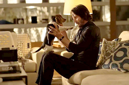 疾速追杀-一只狗一部车引发的复仇之路-质信十强榜