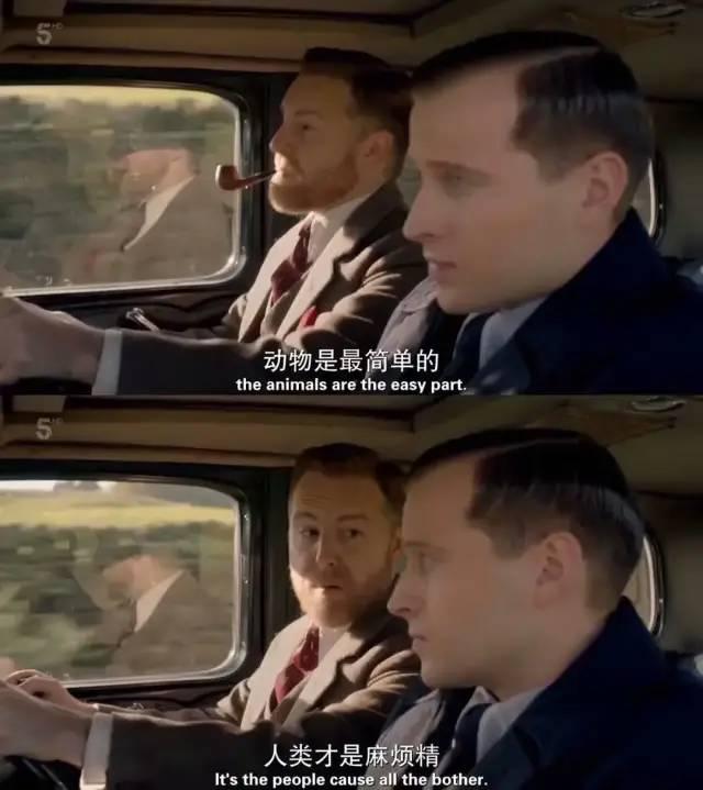 9.4的高分英剧，评分9.4的最强英剧《万物生灵》