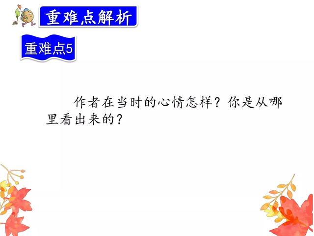 金黄的什么填词语，金黄的什么填空（部编版三年级语文上册第5课《铺满金色巴掌的水泥道》图文讲解）