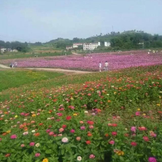 岳池县景点，岳池周边景点（鱼米之乡：四川省岳池县）