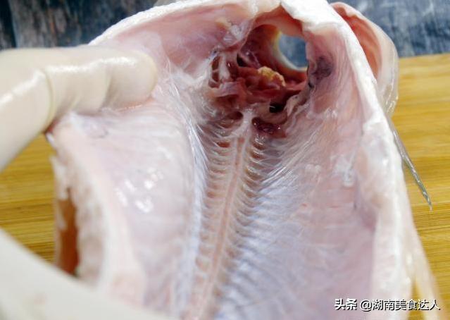 鱼腥线在哪，鱼腥线在哪个位置长着（这4处才是腥味源）
