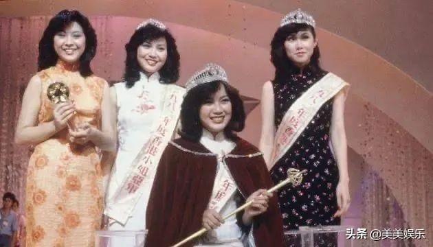 盆景猫（盆景猫百科，港姐又在垃圾堆里捡男人（招财猫盆景怎么养）