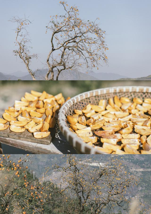 楠溪江风景区主要景点，楠溪江风景区主要景点永嘉书院（永嘉楠溪江8个必玩景点）