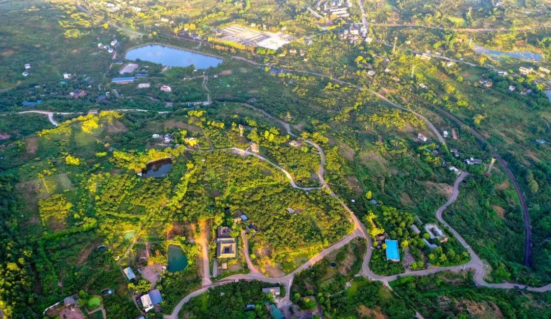 山中无岁月世上已千年，在青白江邂逅龙泉山的清晨