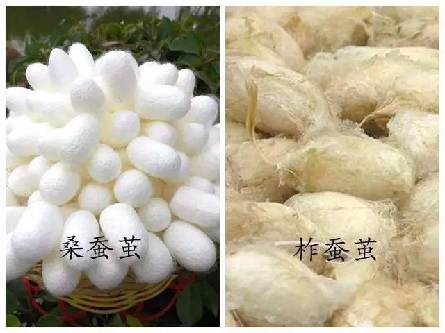 驼毛被子的优缺点，驼绒好还是羽绒被好_驼绒和羽绒被哪个好（五种常见材质被芯全方位对比）