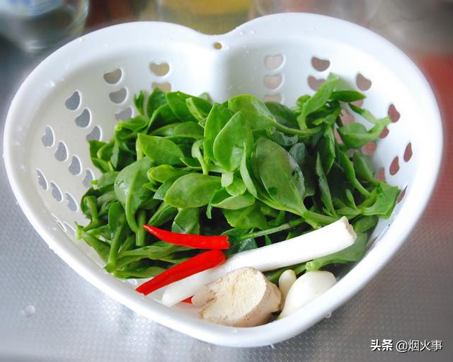 穿心莲怎么做好吃，加入这5种调料一起拌