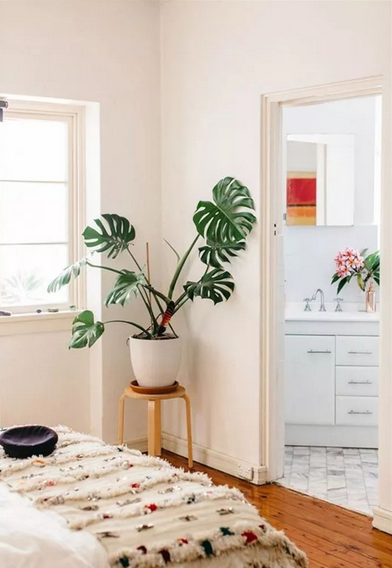 怎么去除甲醛最快方法，甲醛治理10大排名（教你3招快速去除甲醛的方法）