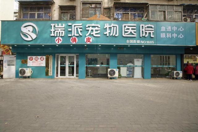 哈尔滨宠物医院，十大哈尔滨宠物医院排名（瑞派宠物医院告诉你最牛医院的正确打开方式）