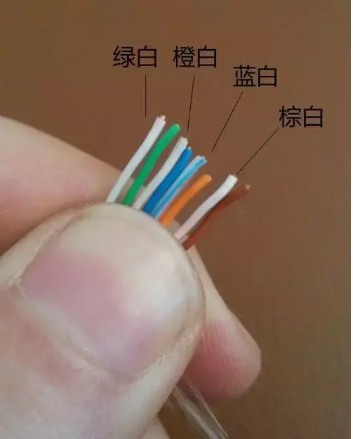 网线水晶头的制作方法和测试，网线水晶头接好后怎么用测试（网线水晶头的制作方法和测试图）