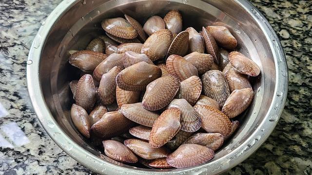 花甲怎么做好吃，花甲怎么做好吃又简单（自从学会花甲这个做法）