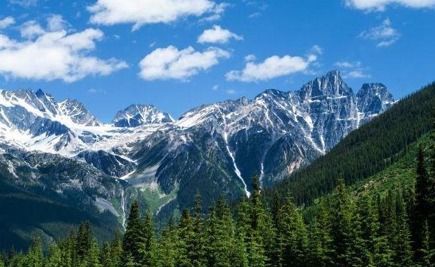 苦尽甘来精辟句子，苦尽甘来的唯美句子（新的一年激励人心的句子）