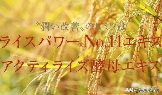 雪肌精MYV系列适合什么年龄，雪肌精哪款好用（KOSE高丝这个化妆护肤帝国~你不知道的品牌还有很多）