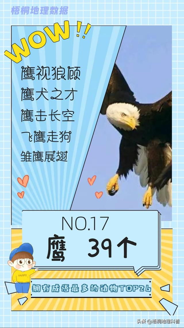 关于猫的词语有多少个，关于猫的词语有多少个词语（盘点哪种动物拥有的成语最多）