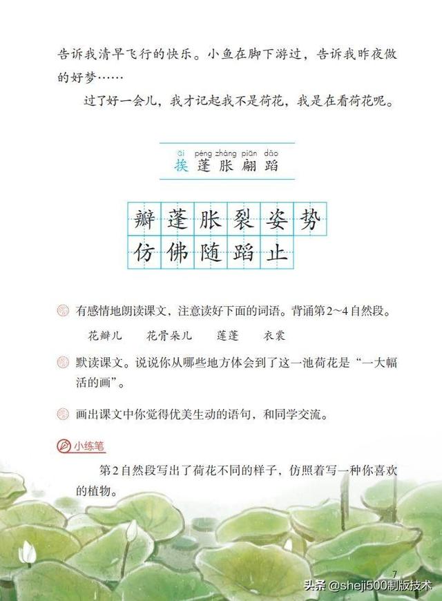 莲蓬的蓬是不是读轻声，莲蓬的蓬为什么读轻声（部编版语文三年级下册第3课《荷花》图文讲解）