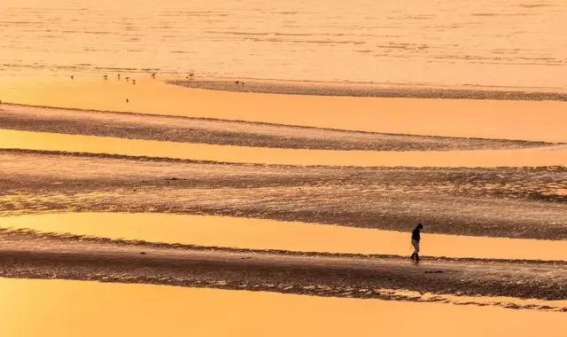 诗歌大全100首，诗歌大全100首 小学生四年级（每首不足100字）