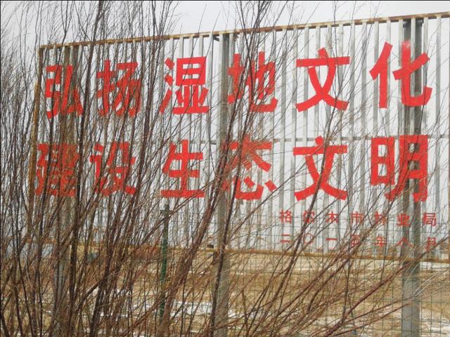 格尔木市海拔多少米，格尔木海拔高度是多少米（格尔木翻天覆地的变化）