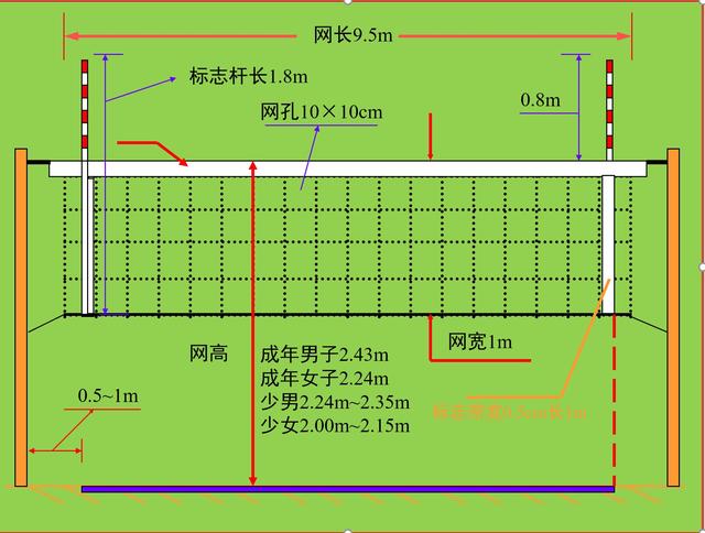 排球运动起源于，排球的起源（排球运动谁发明的）
