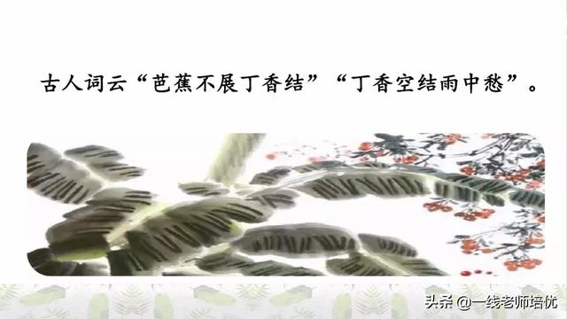 平淡无味的意思，清淡无味的意思（部编版六年级上册第2课《丁香结》重点知识点+图文解读）