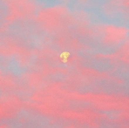 粉色头像微信，粉色头像（粉色朦胧少女心的好看头像）