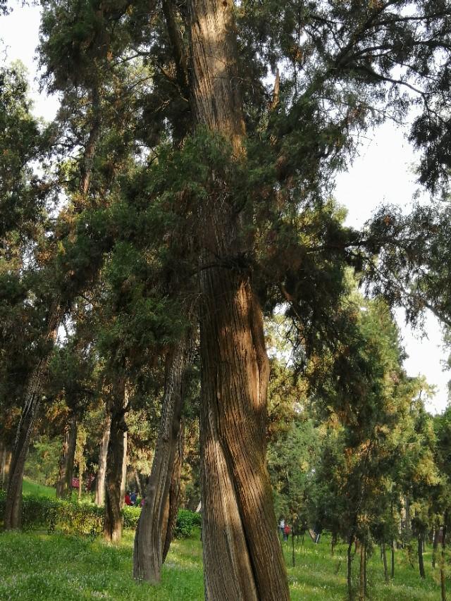 东汉天降陨石，刘秀坟的传说