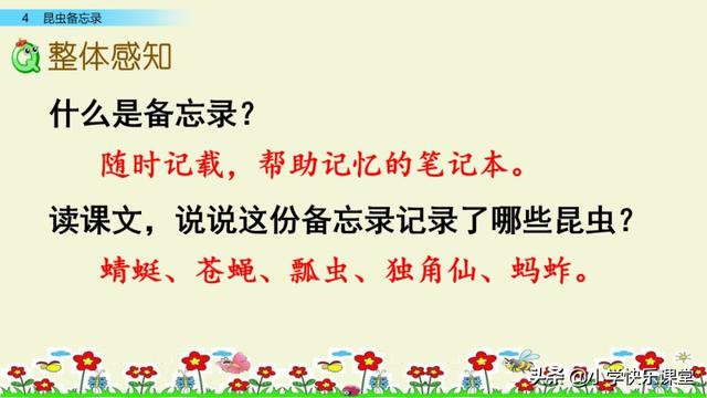 什么的硬翅，什么的硬翅？填四个字。（小学部编三年级语文下第4课《昆虫备忘录》图文+知识点+同步练习）