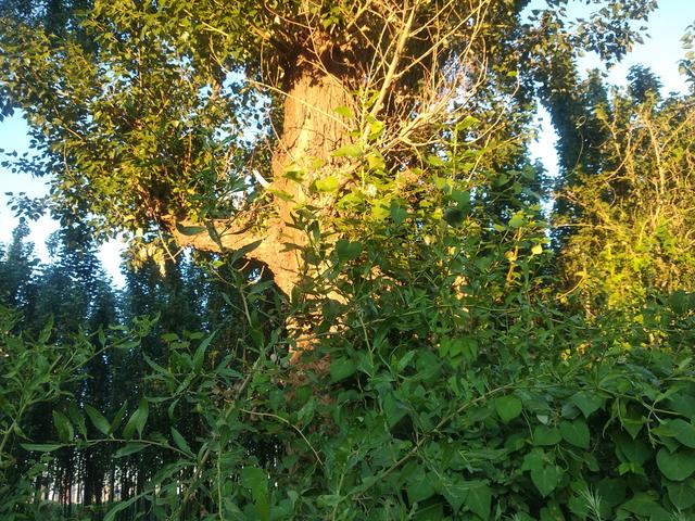 退一步海阔天空的前一句是什么，退一步海阔天空（退出江湖的经典句子）