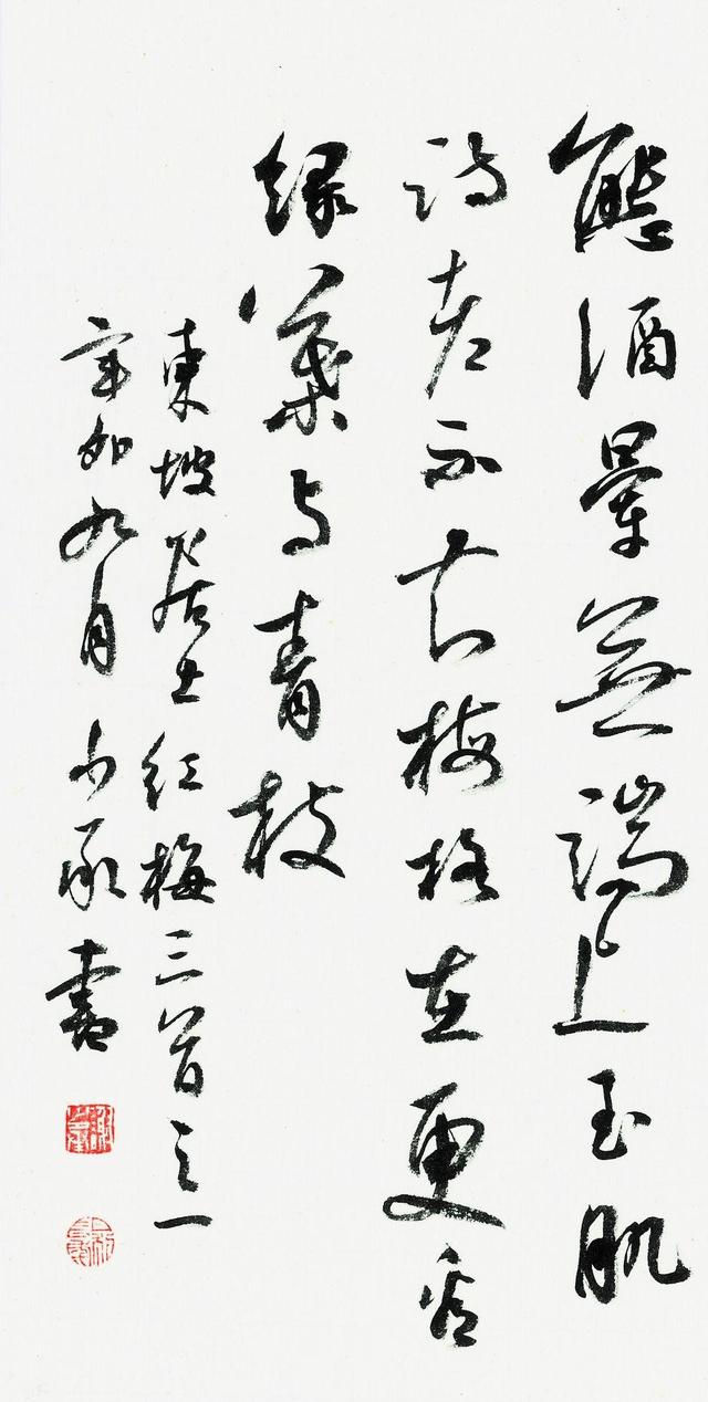 咏梅王安石，咏梅王安石的诗拼音（行草《东坡居士红梅三首之一》）