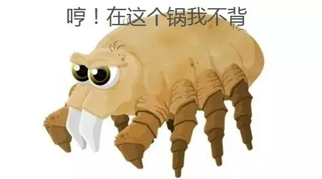 满婷除螨皂有副作用吗 除螨皂对皮肤有没有伤害，满婷除螨皂有副作用吗（被抖音炒火的螨虫皂真的那么好用吗）