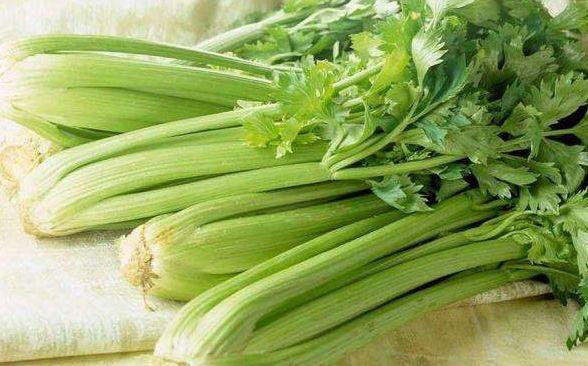 生日当天放生的好处，生日放生有什么讲究吗（今天是传说中最神奇的日子）