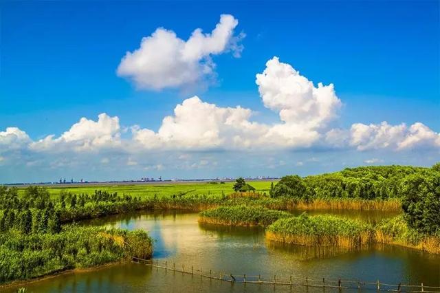 西沙湿地公园在哪，西沙湿地公园在哪个位置（崇明西沙、苏州太湖......长三角71个国家级湿地公园了解一下）