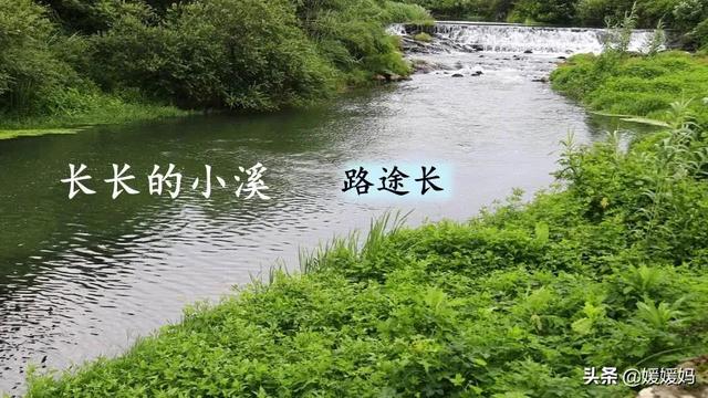 年迈的近义词是什么，温暖的近义词是什么（二年级下册语文课文5《雷锋叔叔）