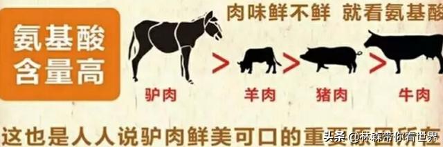 林森带你看世界——品尝长治潞安府的三宝之一腊驴肉，腊驴肉的做法大全