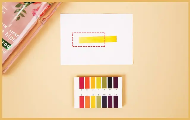 洗发水品牌大全，国际十大洗发水品牌（10款性价比超高的洗发水）