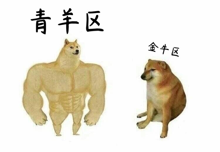 成都私立小学校一览表（金牛区最火的4所私立小学）