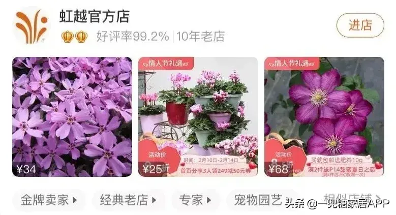 淘宝网花店(淘宝商城花卉市场)