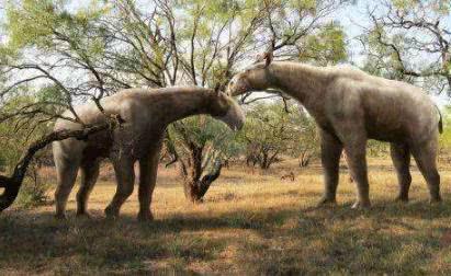最大的哺乳动物是什么，世界上最大的哺乳类动物是（地球史上最大的陆生哺乳动物）