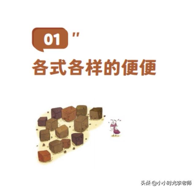 各种各样的动物，所有的常见动物名称（自然的故事-动物在说话《各式各样的便便》）