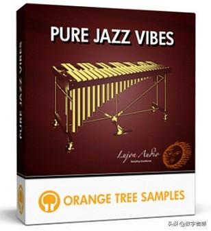 ORANGE TREE 系列民 马林巴（关于马林巴的基本详情介