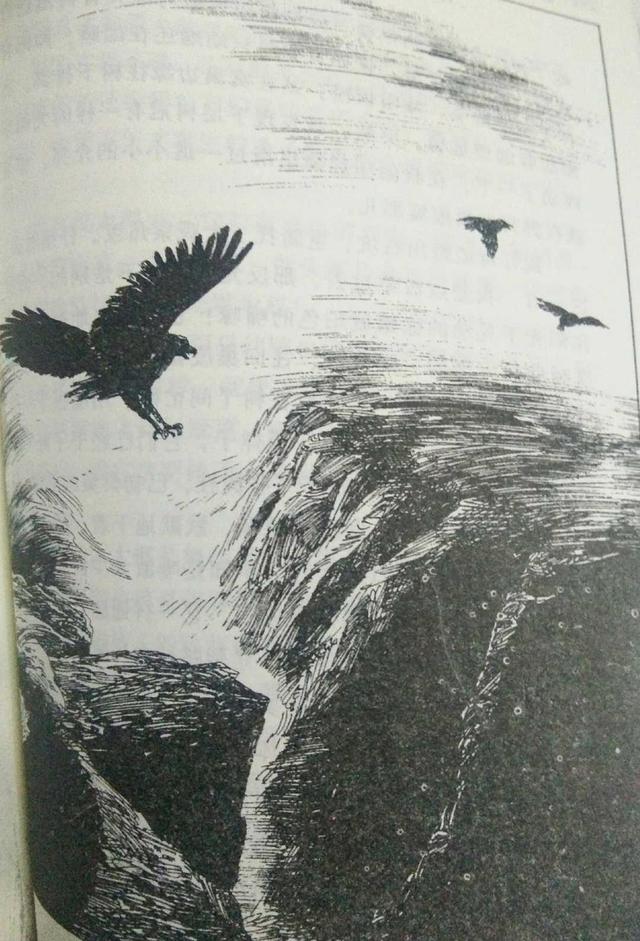 鸟奴好词好句好段，鸟奴好词好句好段摘抄（《鸟奴》：看的是鸟，说的是人）